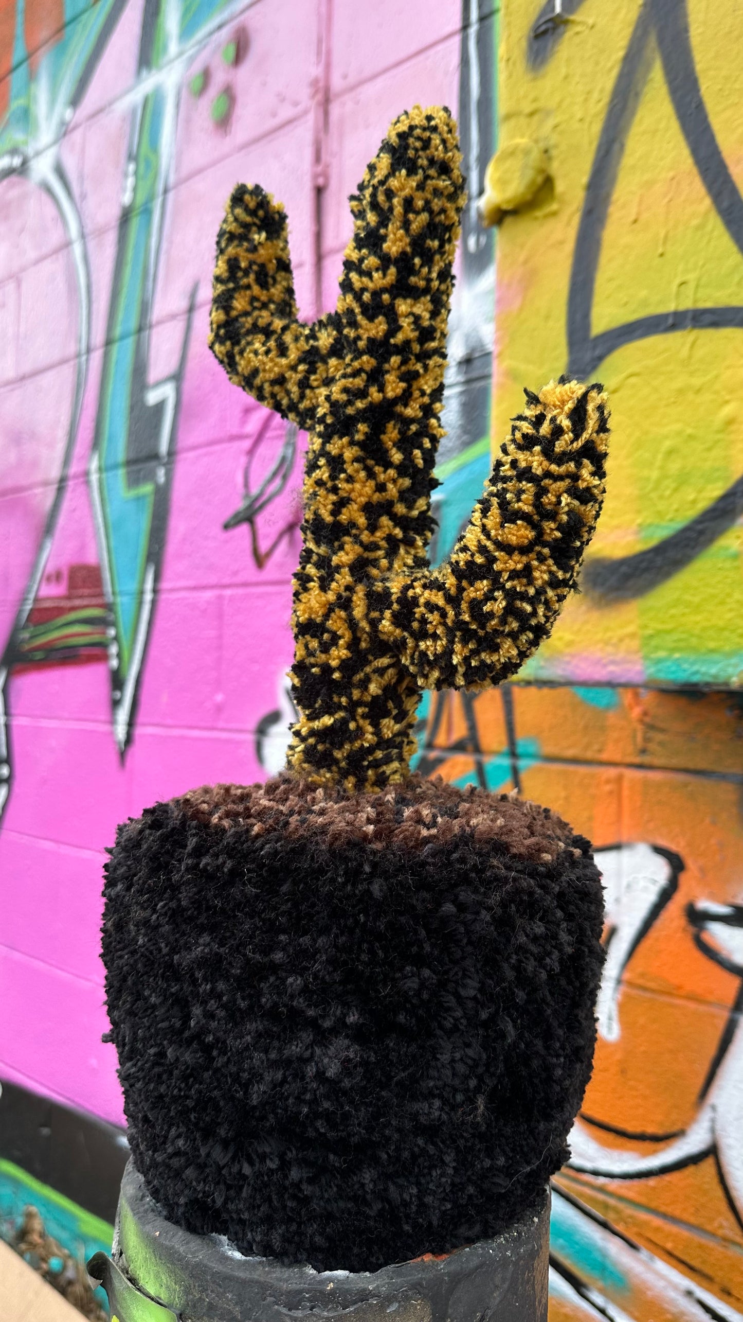 Yarn Cactus: Black and Gold