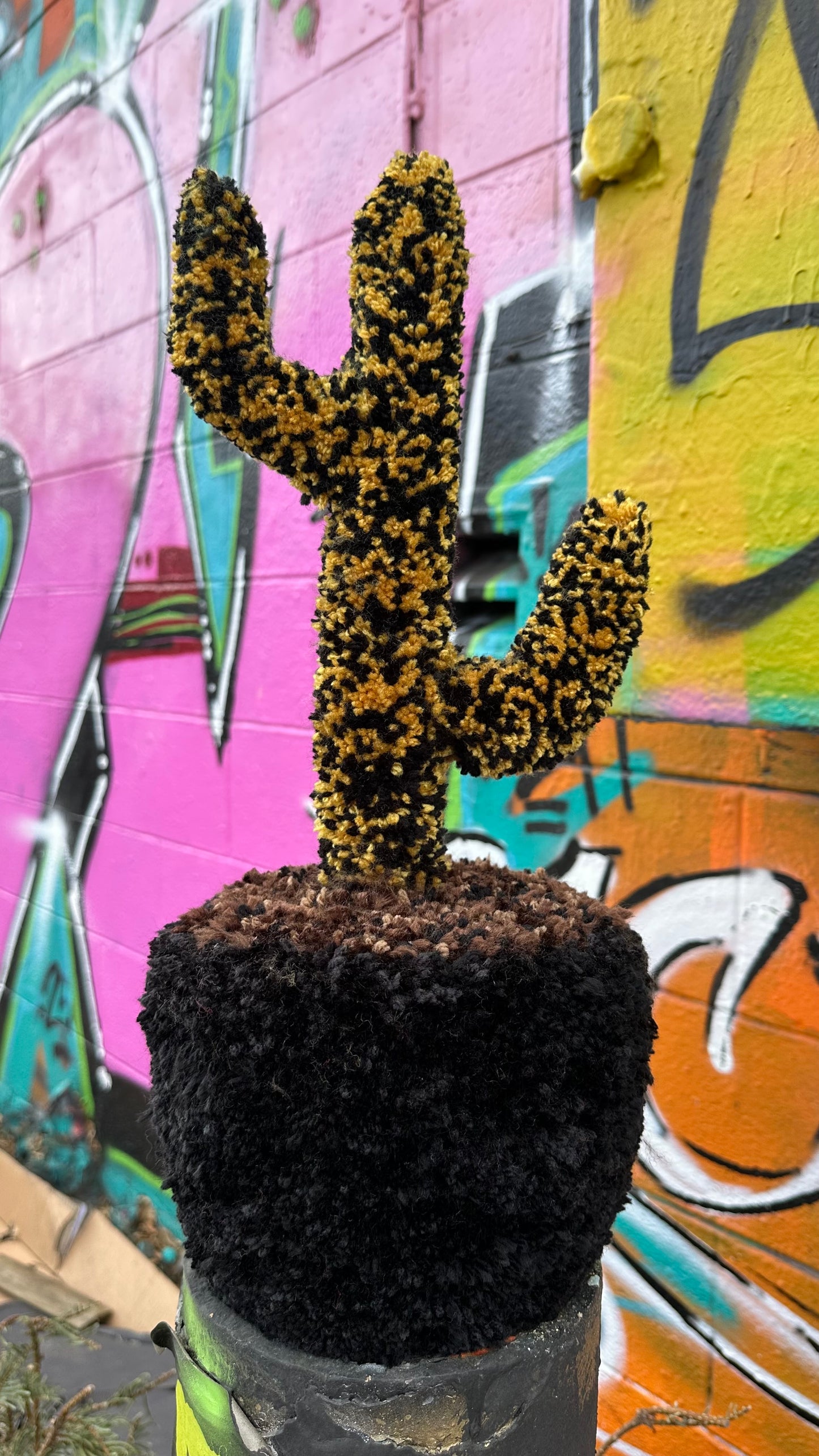 Yarn Cactus: Black and Gold