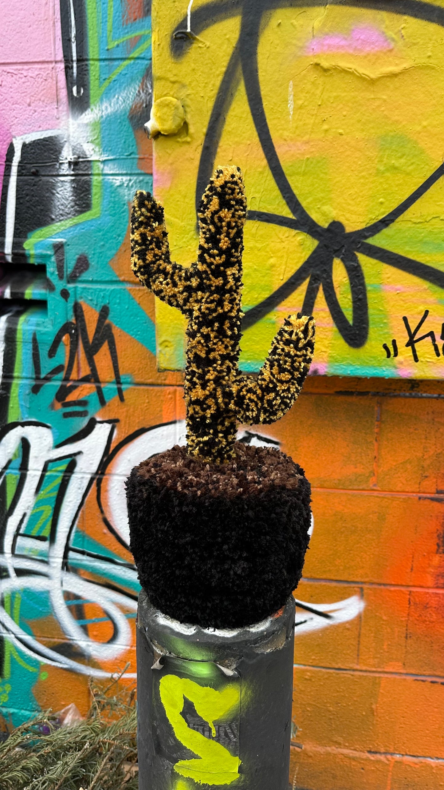 Yarn Cactus: Black and Gold