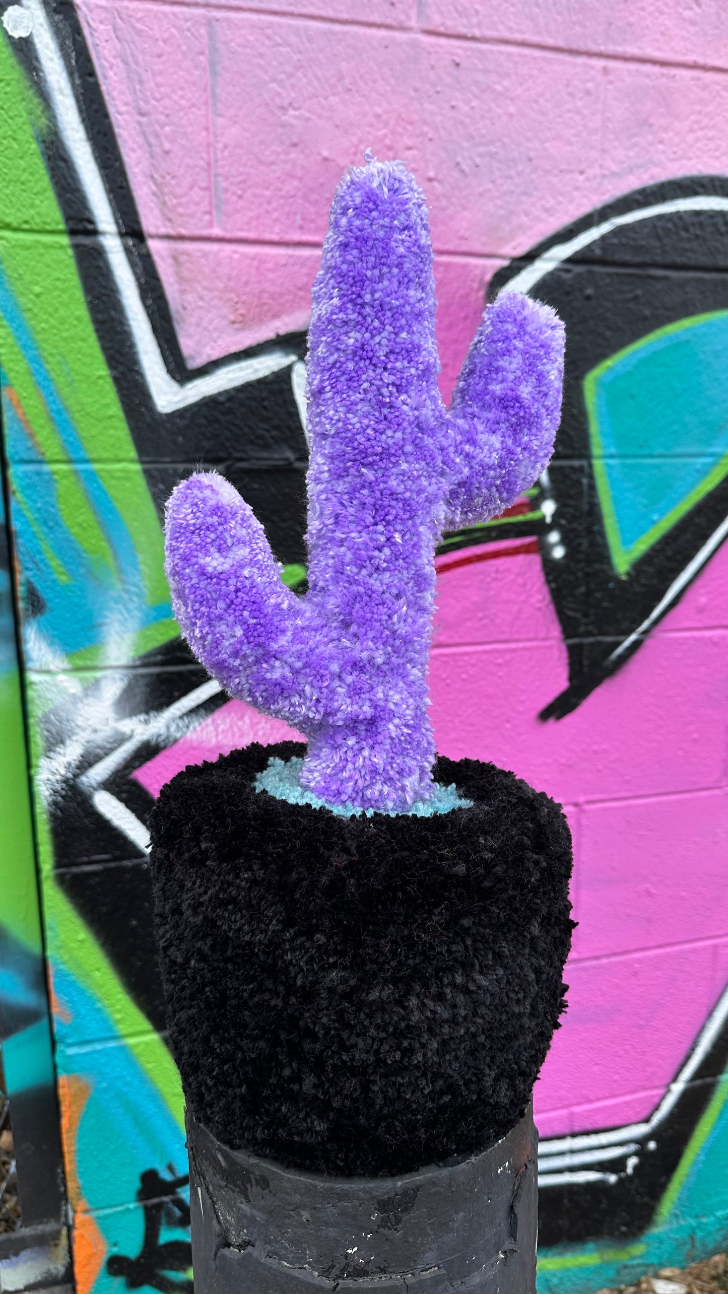 Yarn Cactus: Black and Purple