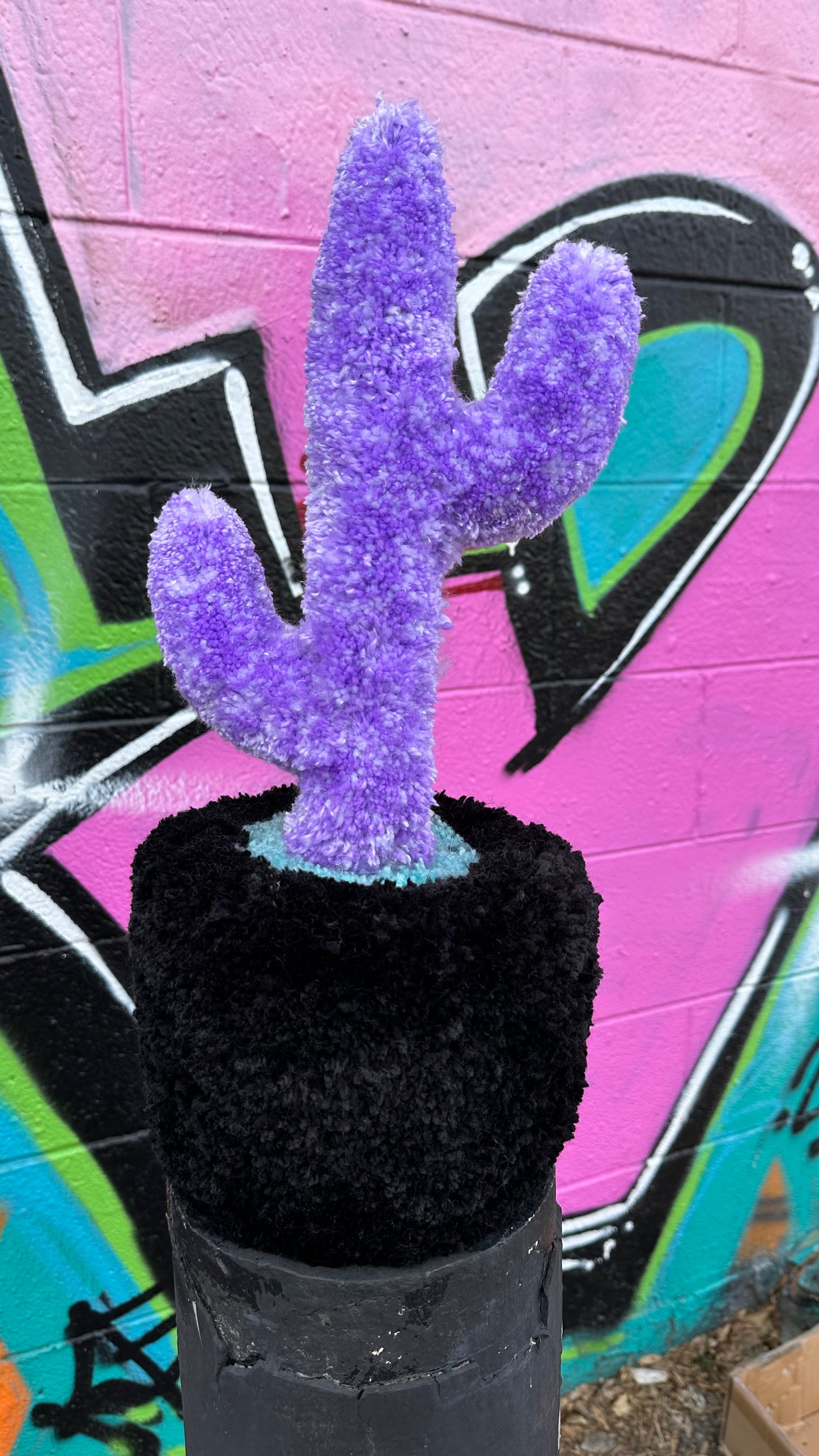 Yarn Cactus: Black and Purple