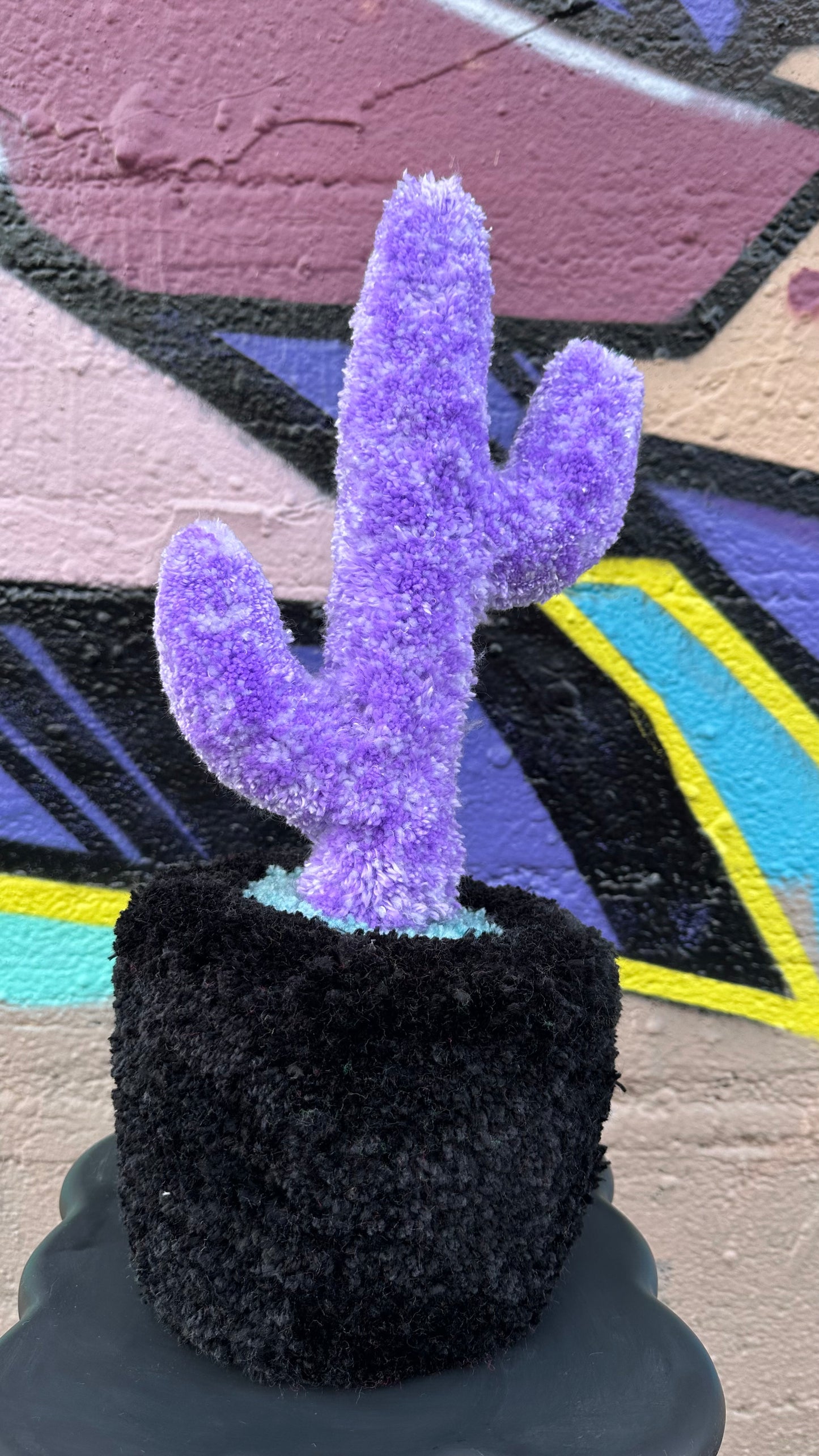 Yarn Cactus: Black and Purple