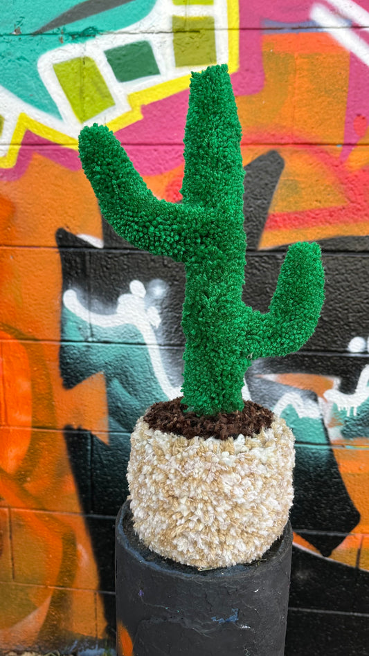 Yarn Cactus: Cream and Green