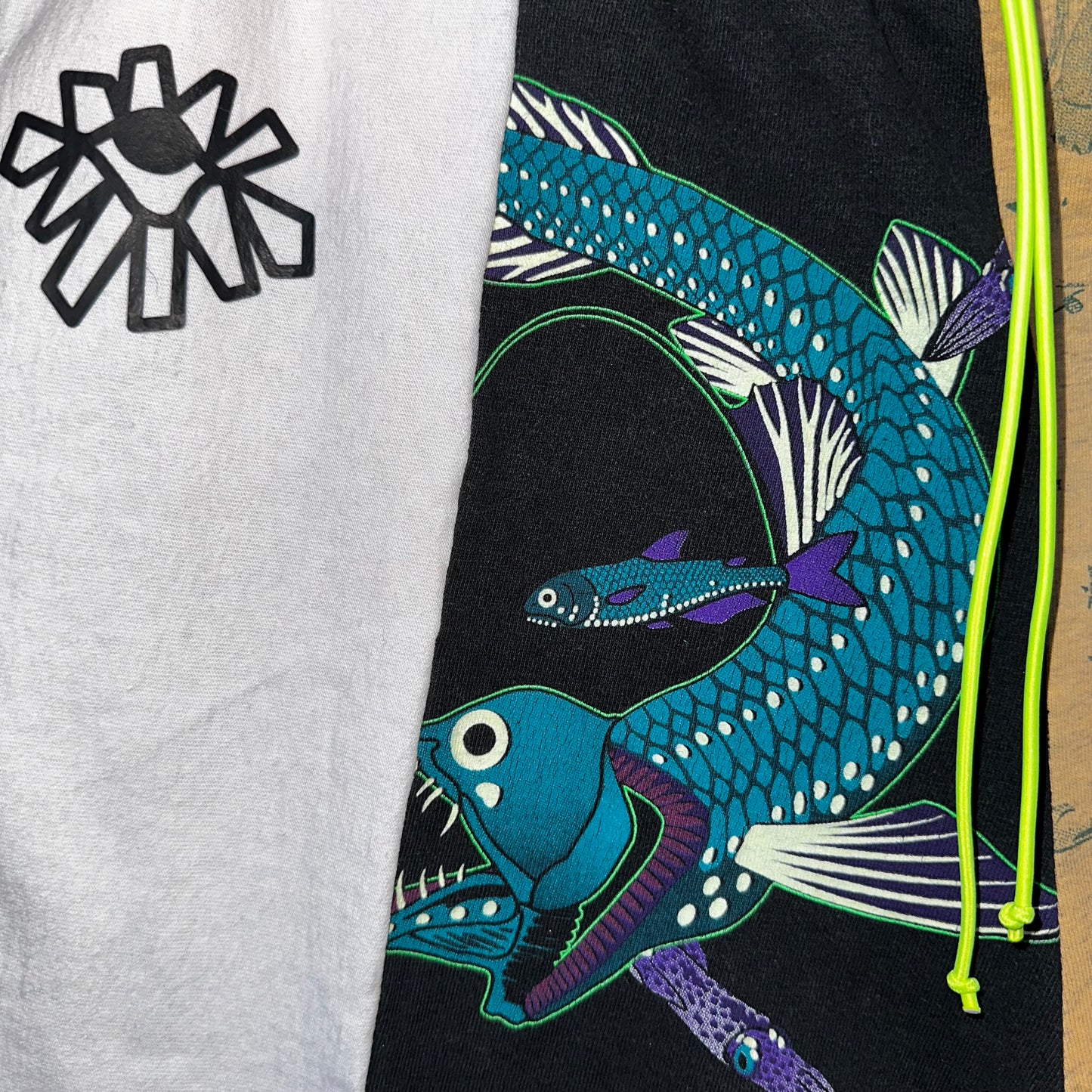 MED. Shorts: Glow in the dark Fish!